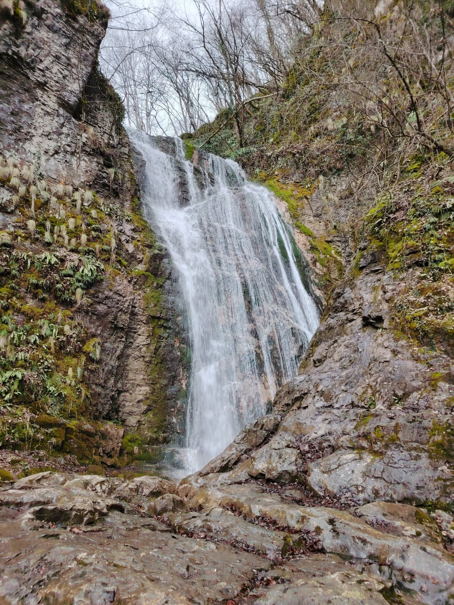 Eco Trails