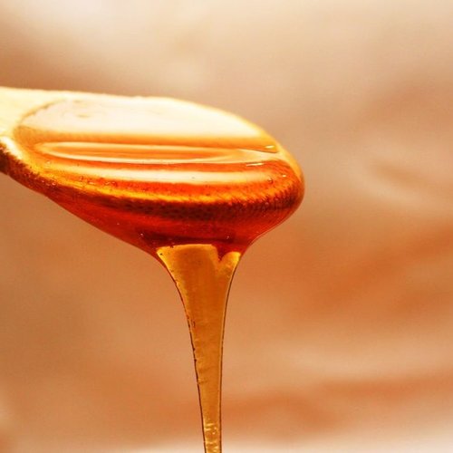 Forest Honey