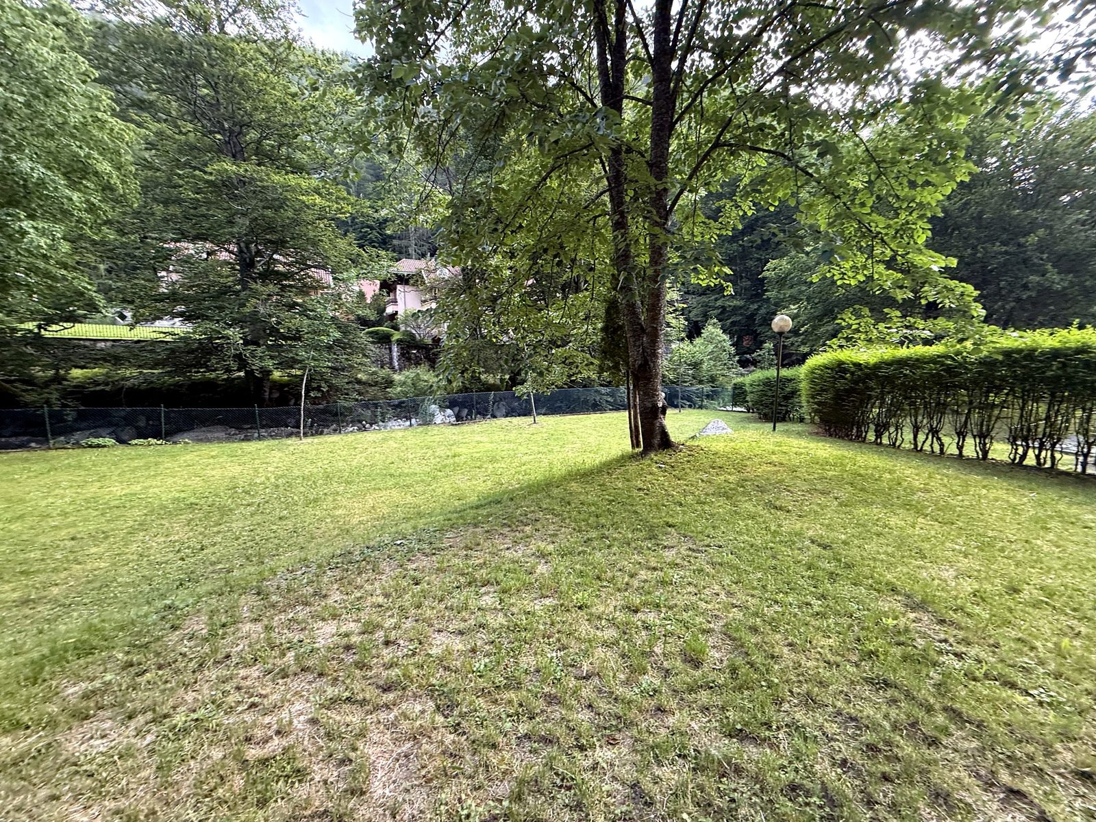 Green lawn by the river