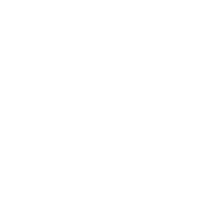 Evergreen Palace